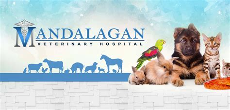 Mandalagan Veterinary Hospital And Marketing .